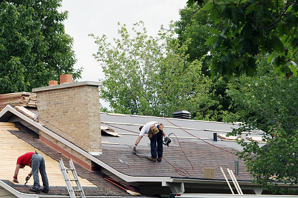 Best Roof Gutter Cleaning  in Sidney, MT